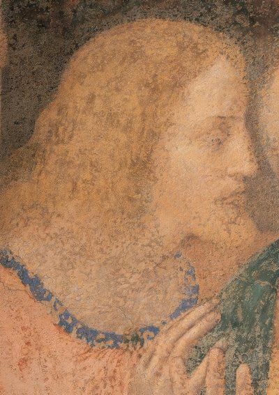 ジェームズ・マイナー 作： Leonardo da Vinci
