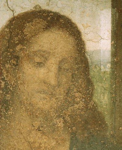  作： Leonardo da Vinci