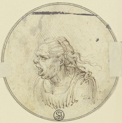 口を開けた女性の風刺画、胸から上の姿、左向きの横顔 作： Leonardo da Vinci