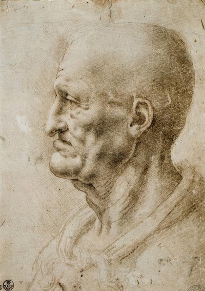 老人の頭の研究 作： Leonardo da Vinci