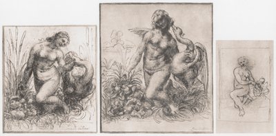 レダと白鳥、c1504-1506 作： Leonardo da Vinci