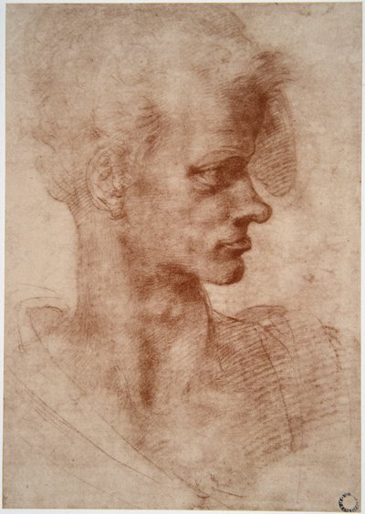 レオナルド・ダ・ヴィンチ（1452 - 1519）：青年の風刺画肖像（イマジン 作： Leonardo da Vinci