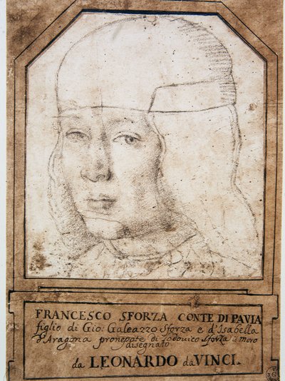 レオナルド・ダ・ヴィンチ（1452 - 1519）：ミラノ公ジャン・ガレアッツォ・マリア・スフォルツァ（ジャン・ガレアース・マリー・スフォルツァ）（1469 - 1494）の息子、フランシス（フランチェスコ）・スフォルツァ（1491 - 1512）の肖像 作： Leonardo da Vinci