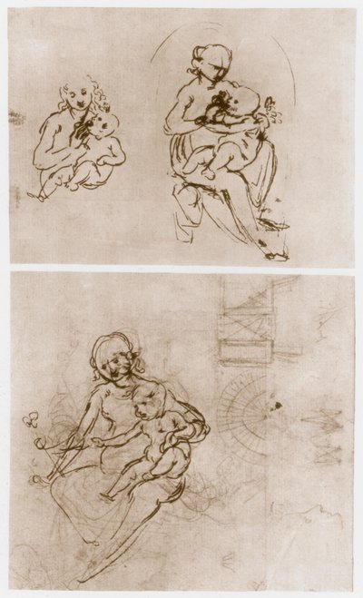 花とマドンナ、c1478。 作： Leonardo da Vinci