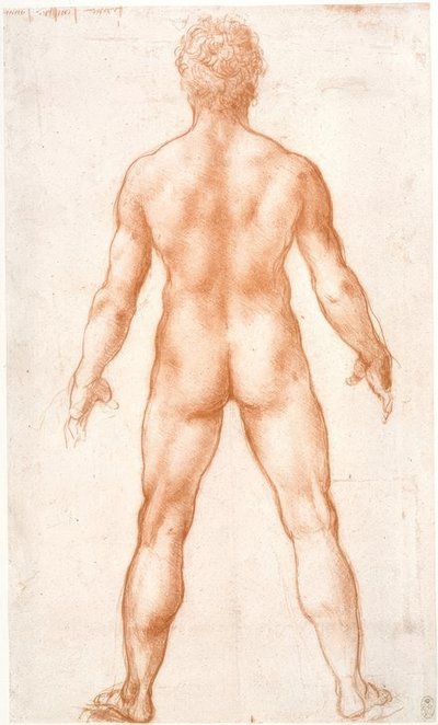 背面の男性のヌード 作： Leonardo da Vinci