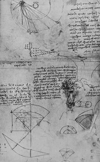 天文学と馬の頭の研究に関するノート、c1480 1945 作： Leonardo da Vinci