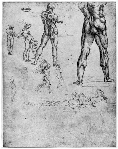 アンギアリの戦いのためのヌード研究、c1503-1505 1954 作： Leonardo da Vinci