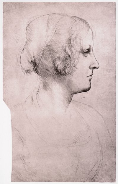 帽子を持つ少女の肖像、1493-1495 作： Leonardo da Vinci