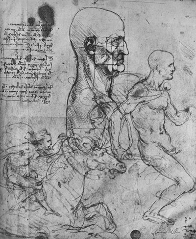 比率と乗馬の研究のために二乗した男のプロフィール、c1480 1945 作： Leonardo da Vinci