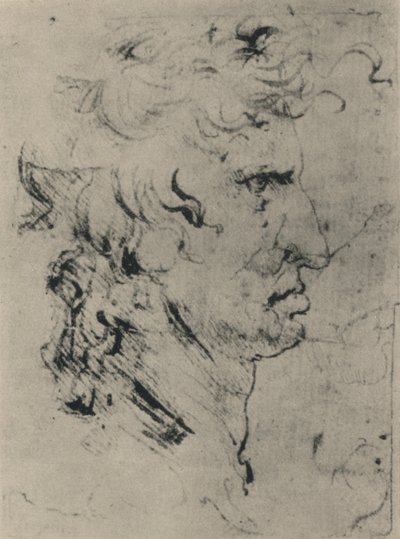 右の男のプロフィール、c1480 1945 作： Leonardo da Vinci