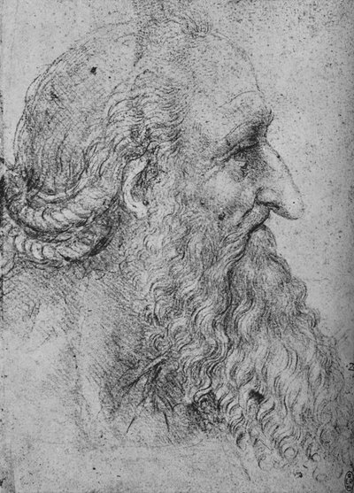 右のひげを生やした老人のプロファイル、c1480 1945 作： Leonardo da Vinci