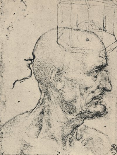 ハゲ男の右のプロフィール、c1480 1945 作： Leonardo da Vinci