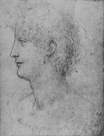 カーリーヘッドユースの左側のプロフィール、c1480 1945 作： Leonardo da Vinci
