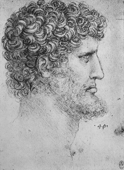 ひげを生やした男の右の横顔、c1480 1945 作： Leonardo da Vinci