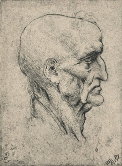 年配のハゲ男の右側のプロフィール、c1480 1945 作： Leonardo da Vinci