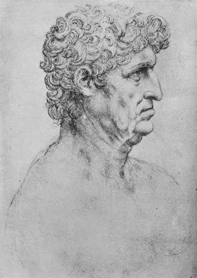 老人の右の横顔、c1480 1945 作： Leonardo da Vinci