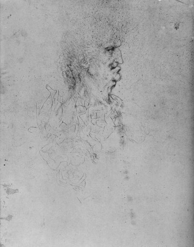 老人の右の横顔、c1480 1945 作： Leonardo da Vinci