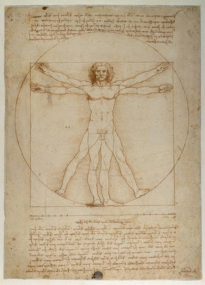 ヴィトルビウスによる人間像の比例スキーム 作： Leonardo da Vinci