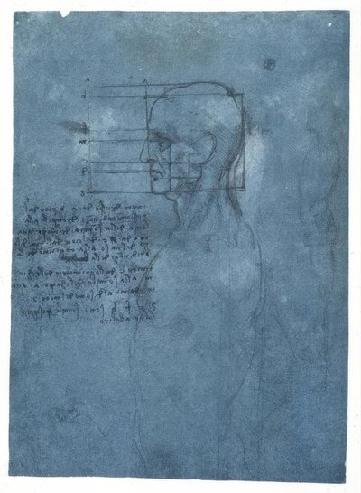 横向きの男性の頭部の比率研究 作： Leonardo da Vinci