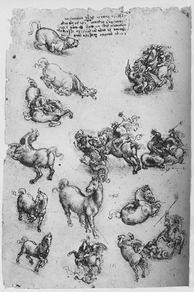 馬と猫と聖ジョージとドラゴンの研究シート、c1480 1945 作： Leonardo da Vinci