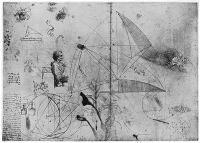 研究シート、1954年後半または16世紀初頭。 作： Leonardo da Vinci