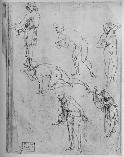 図の六つの研究、1481-1483 1945 作： Leonardo da Vinci