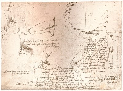 人物の比率の理論を説明するスケッチ、c1472-c1519 1883 作： Leonardo da Vinci