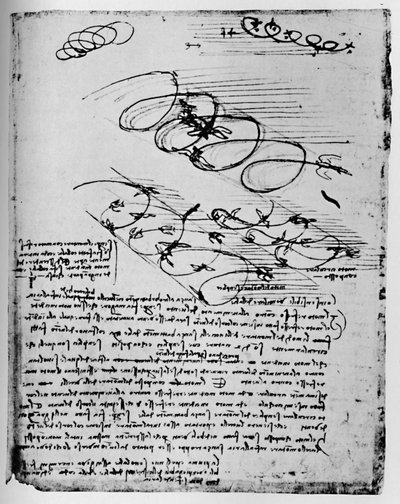 上昇と旋回の際の飛行中の鳥の研究、1928 作： Leonardo da Vinci