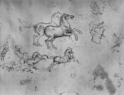 ギャロッピングの馬と頭の研究、c1480 1945 作： Leonardo da Vinci