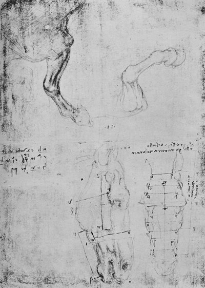 馬の前脚と馬の頭の測定図の研究、c1480 1945 作： Leonardo da Vinci