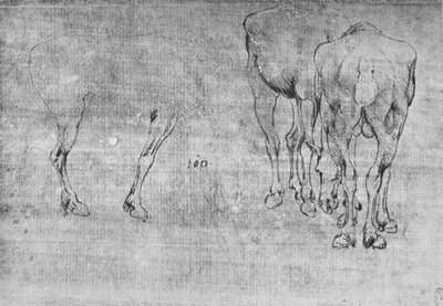 馬の放牧に関する研究、1480年頃1945年 作： Leonardo da Vinci