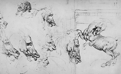 馬の頭と飼育馬の研究、c1480 1945 作： Leonardo da Vinci