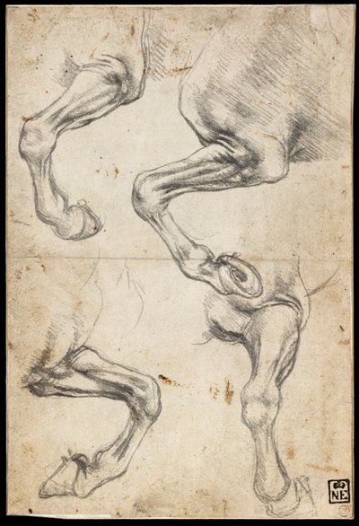 馬の脚の研究 作： Leonardo da Vinci