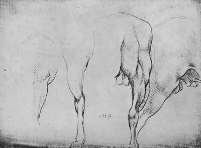 馬の脚の研究、c1480 1945 作： Leonardo da Vinci