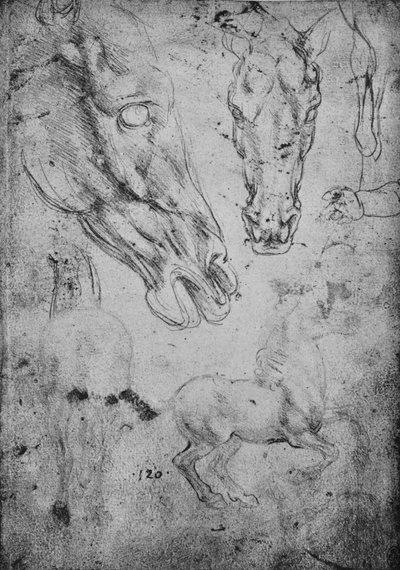 馬と馬の頭の研究、c1480 1945 作： Leonardo da Vinci
