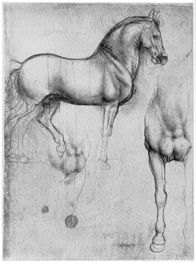 馬の研究、c1490 1954 作： Leonardo da Vinci