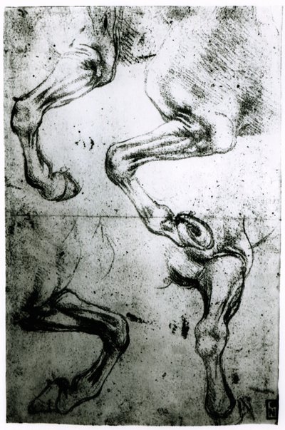 馬の足の研究（紙にペンとインク） 作： Leonardo da Vinci