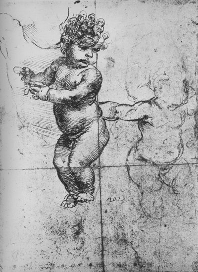 幼児の研究、c1480 1945 作： Leonardo da Vinci