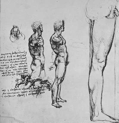 ヌードの研究と戦いの小さなスケッチ、c1480 1945 作： Leonardo da Vinci
