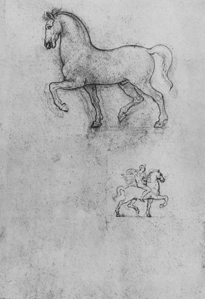 馬と馬とライダーの1つに関する研究、c1480 1945 作： Leonardo da Vinci