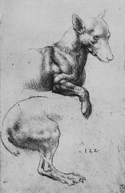犬の前肢と後肢の研究、c1480 1945 作： Leonardo da Vinci