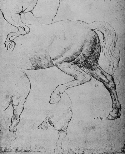 馬の後肢と後肢の研究、c1480 1945 作： Leonardo da Vinci