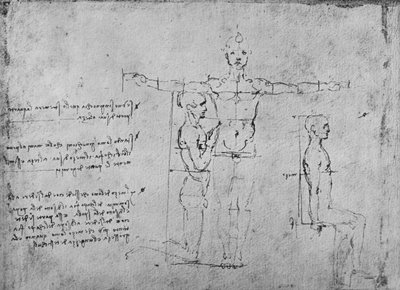3つの数字の比率の研究、c1480 1945 作： Leonardo da Vinci