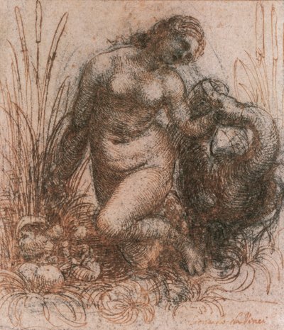 レオナルド・ダ・ヴィンチ（1452-1519）の「レダと白鳥」の習作、ドローイング 作： Leonardo da Vinci