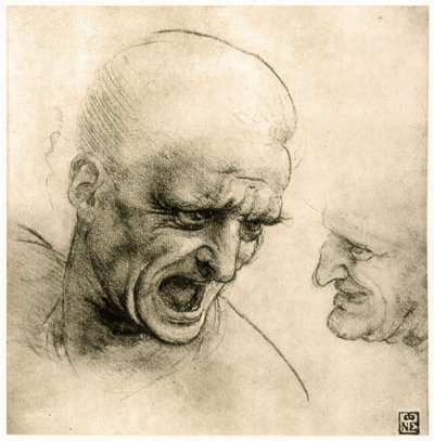 戦士の頭の習作 作： Leonardo da Vinci