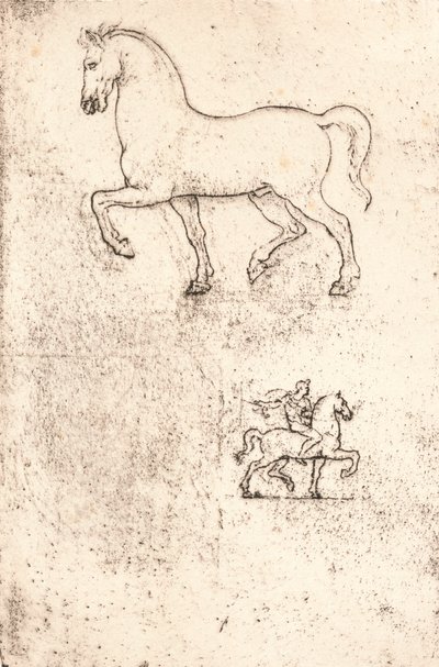 スフォルツァ記念碑の研究、c1482-c1499 1883 作： Leonardo da Vinci