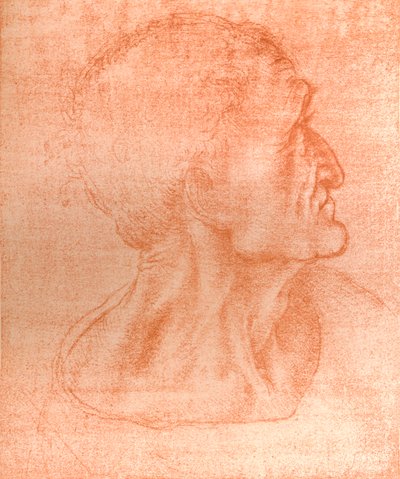 「最後の晩餐」、c1494-c1499 1883におけるユダの首の研究。 作： Leonardo da Vinci