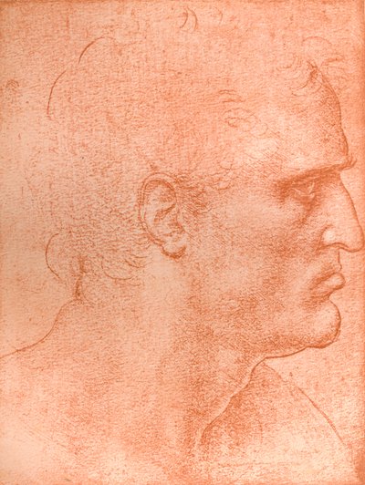 「最後の晩餐」、c1494-c1499 1883での聖マタイの首の研究。 作： Leonardo da Vinci