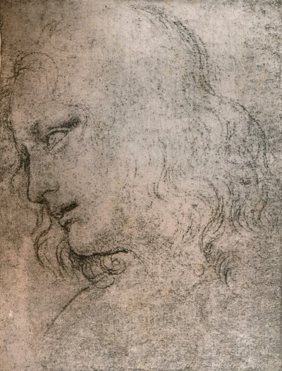 「最後の晩餐」で聖フィリップの首のために研究、c1494-c1499 1883。 作： Leonardo da Vinci