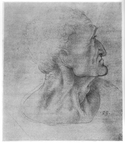 最後の晩餐のためのユダの研究、c1495 1954 作： Leonardo da Vinci